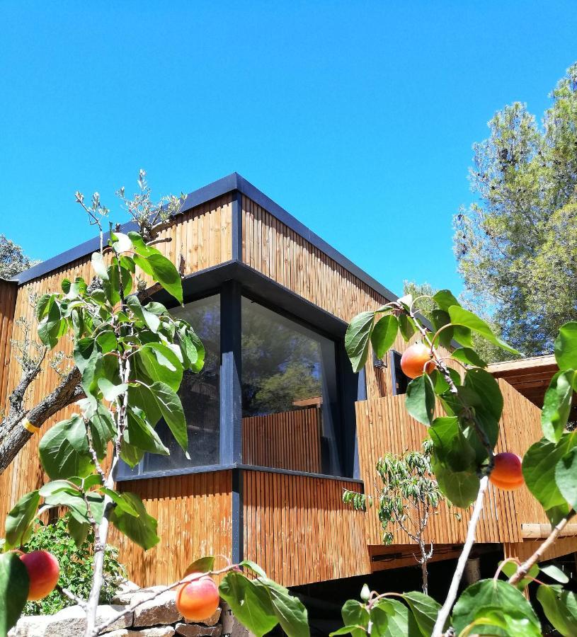 Villa Occitana 칼비송 외부 사진